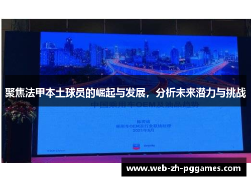 聚焦法甲本土球员的崛起与发展，分析未来潜力与挑战