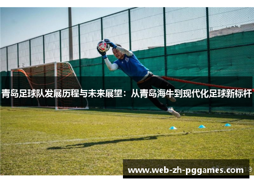 青岛足球队发展历程与未来展望：从青岛海牛到现代化足球新标杆