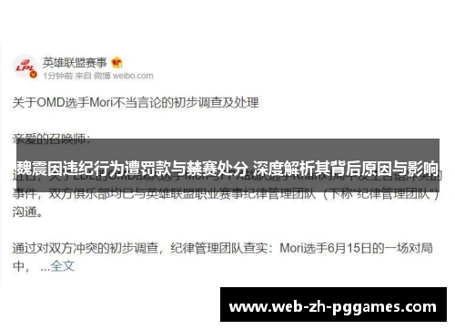 魏震因违纪行为遭罚款与禁赛处分 深度解析其背后原因与影响