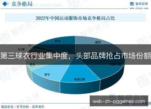 第三球衣行业集中度,头部品牌抢占市场份额 第三球衣行业集中度,头部品牌抢占市场份额